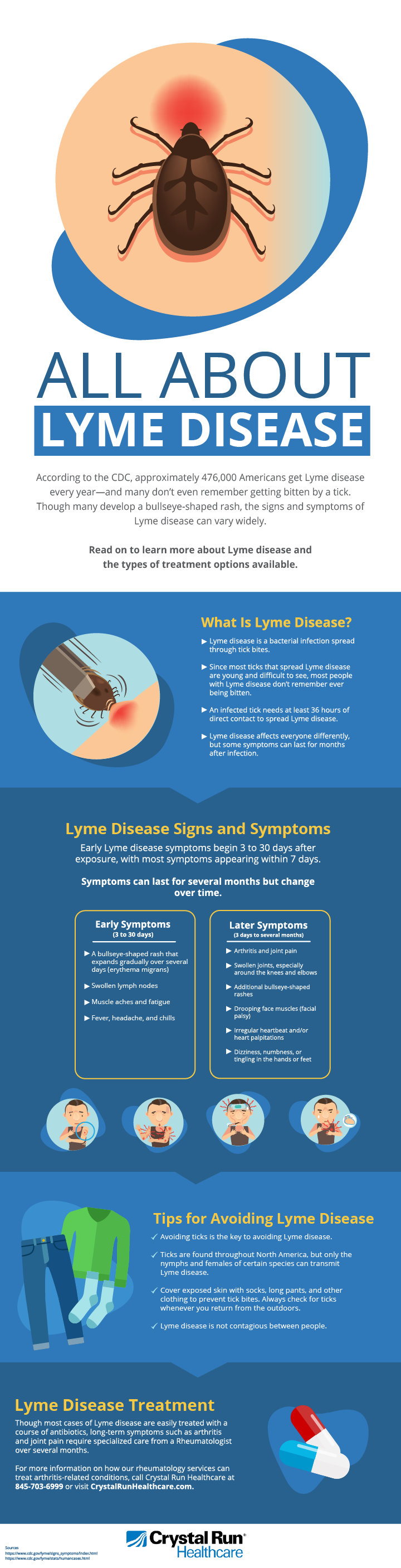 All About Lyme Disease Infographic
