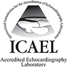 ICAEL