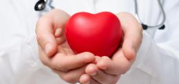 doctor-holding-a-heart