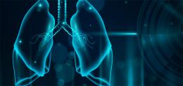 lungs