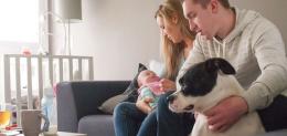 xparents-with-newborn-and-dog.jpg.pagespeed.ic_.Fm84-daSci