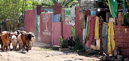One World local scene of dirt road, habitat and animals