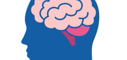 what is peripheral neuropathy