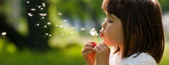 allergy
